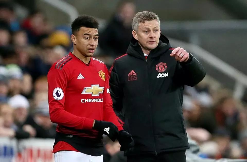 蘇達森林狼 蘇達森林狼