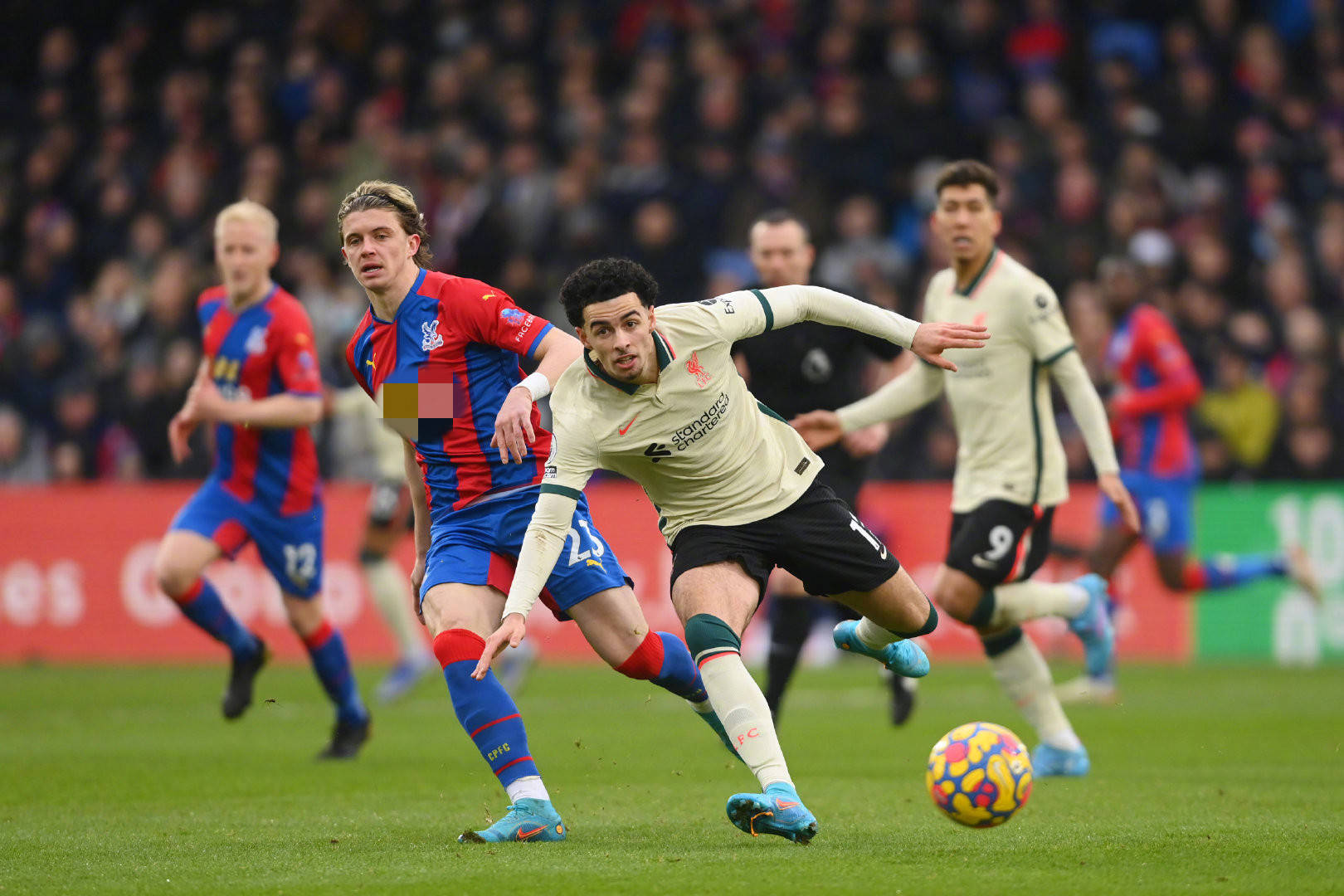 展现出的才 展现出的才